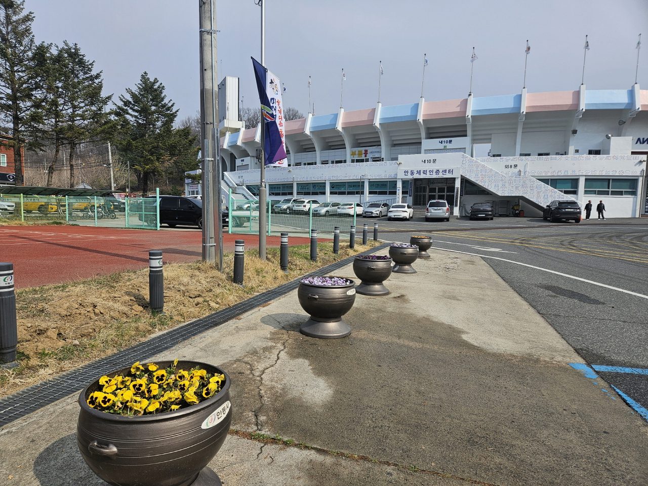 안동시 강남동, 도민체전 선수단 환영 꽃길 조성