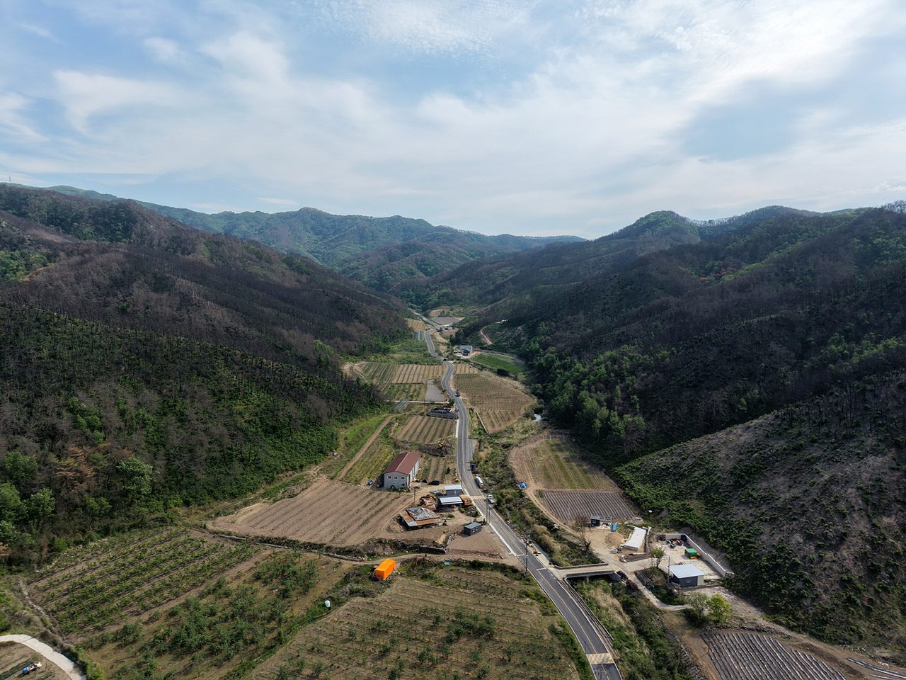 안동시 길안면, 경북 제2호 산림경영특구 지정